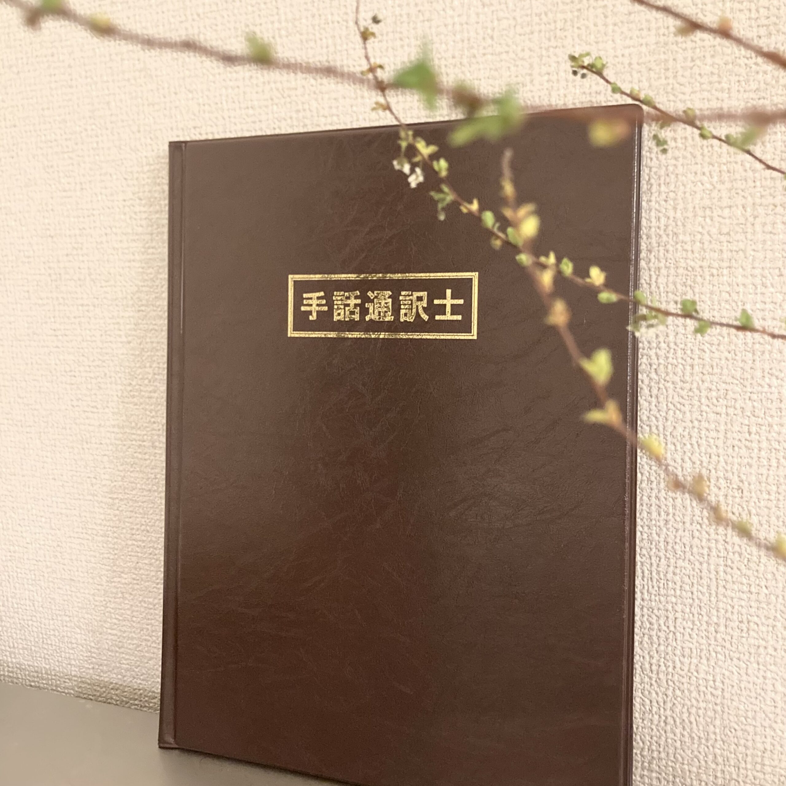 手は脳について何を語るか: 手話失語からみたことばと脳 | H